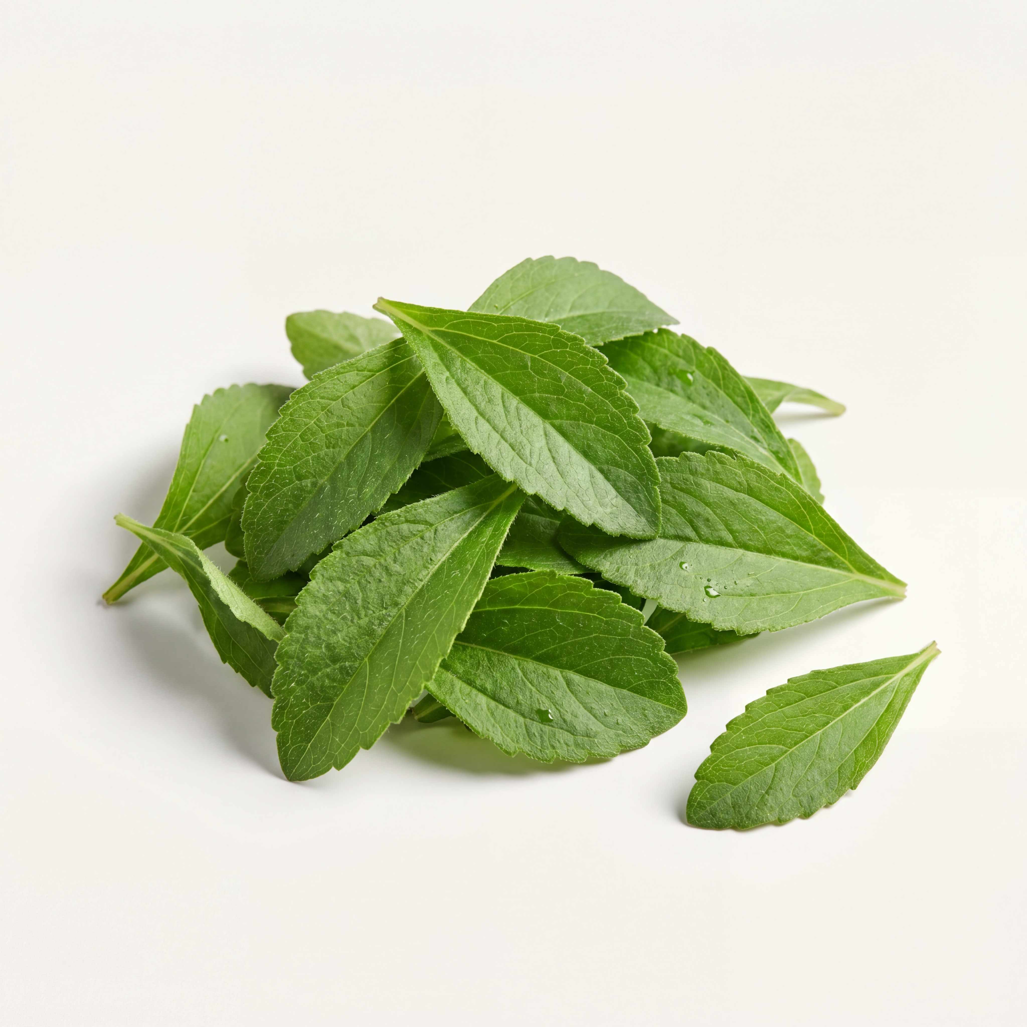 Stevia